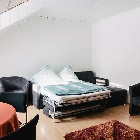 Apartment In Innenstadtnaehe Darmstadt Eksteriør billede
