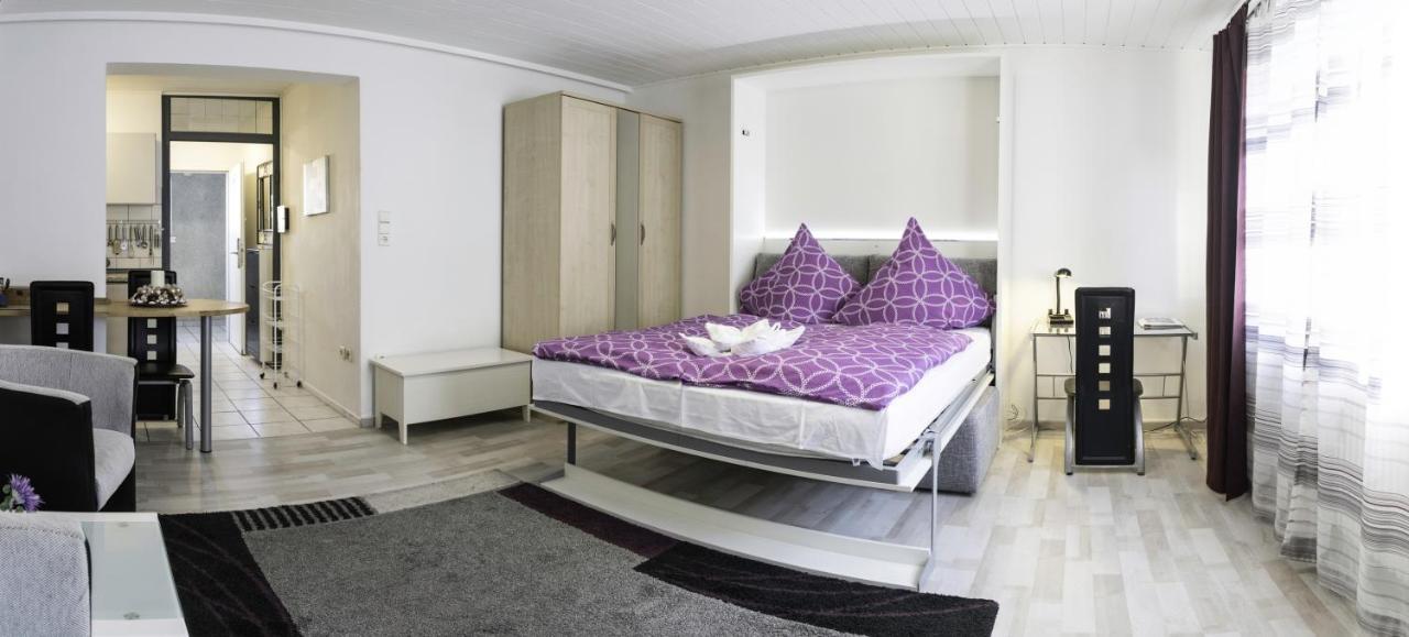 Appartement In Innenstadtnaehe Darmstadt